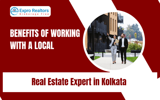 local real estate expert