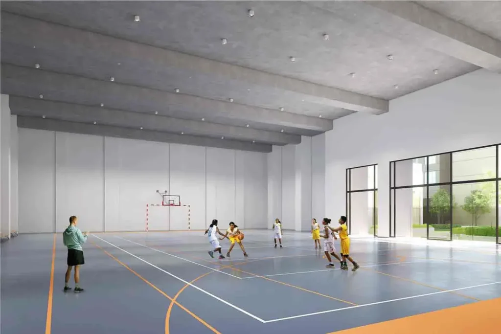 Basketball Court